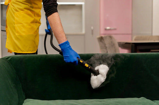 cleaning sofa in apartment