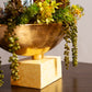 Close up view of decorative bowl with vibrant succulents and greenery sits on a dark wooden table.